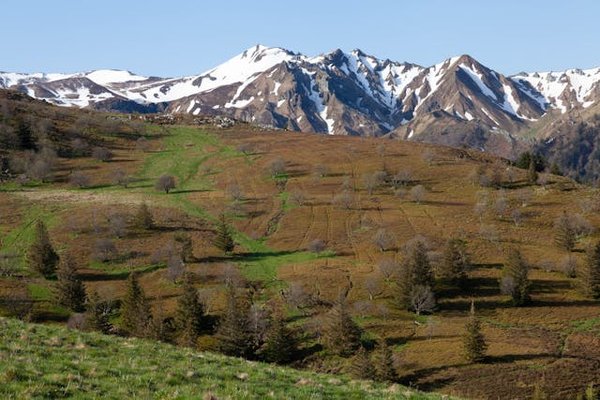 Votre guide ultime pour louer un mobil home en Auvergne