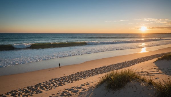 Découvrez les meilleures activités pour vos vacances à biscarrosse