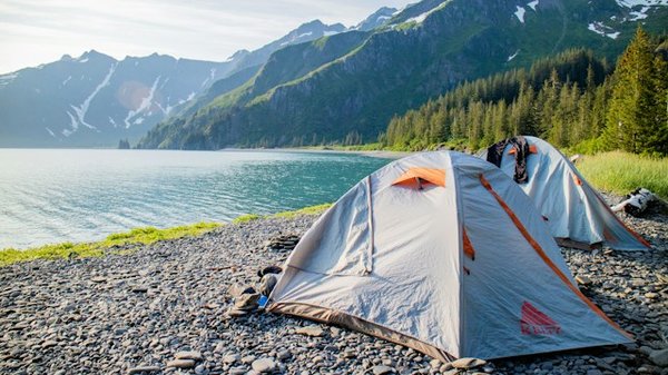 Votre Guide Ultime pour la Location de Mobil-Home en Camping en Vendée : Confort et Nature à Portée de Main