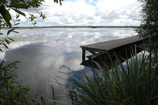 Votre Guide Ultime pour Réserver le Camping Idéal dans les Landes : Astuces et Conseils